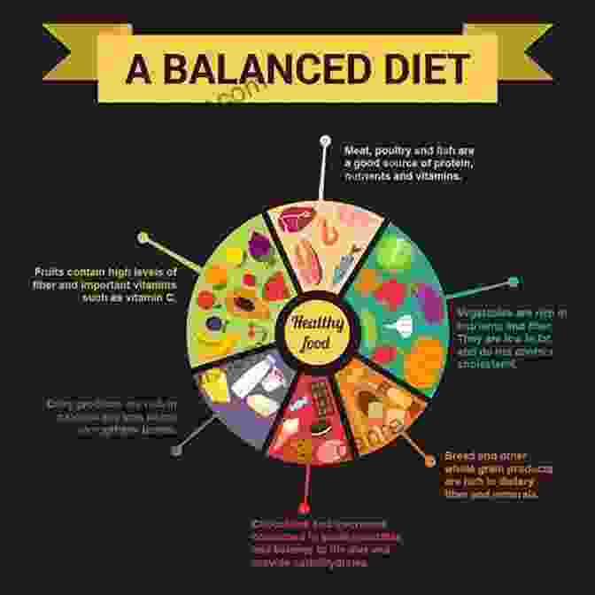 A Colorful Infographic Depicting The Different Food Groups That Make Up A Balanced Diet. Pegan Diet Cookbook: The Dietary Guide And Delicious Recipes To Eating Nutrient Rich Food For Healthy Living (Benefit Of Paleo + Vegan In One)