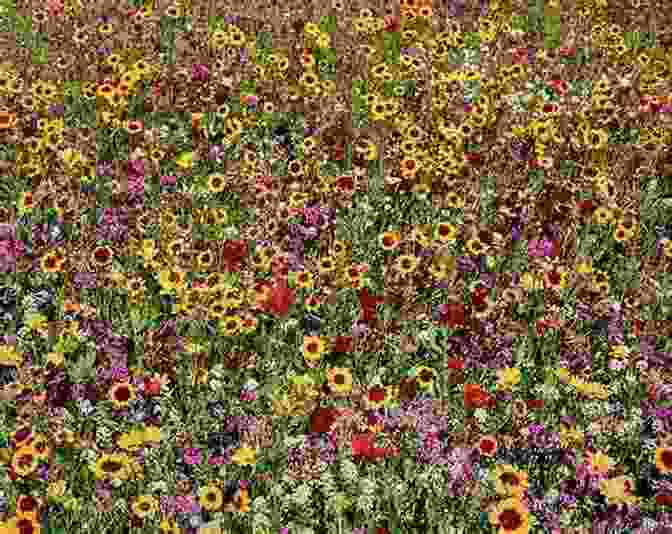 A Fragrant Scene Of Wildflowers In Full Bloom In Central Park, New York City, Their Petals Attracting Pollinators And Filling The Air With Sweet Scents Field Guide To The Natural World Of New York City