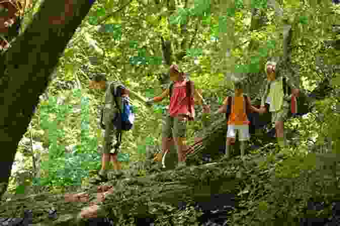 A Group Of Children Playing And Exploring In The Woods The Woodland Book: 101 Ways To Play Investigate Watch Wildlife And Have Adventures In The Woods