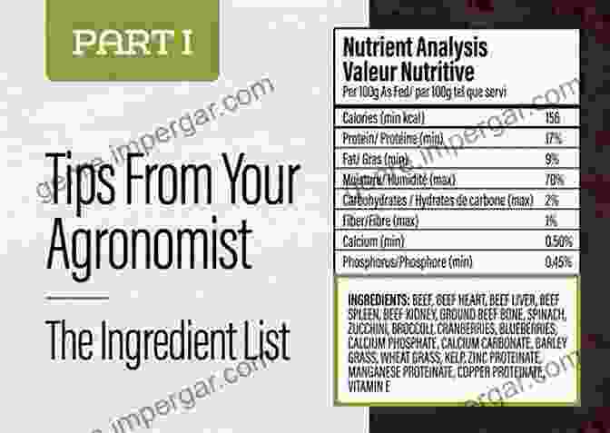 A Magnifying Glass Examining A Pet Food Ingredient Label The Ultimate Pet Food Guide: Everything You Need To Know About Feeding Your Dog Or Cat