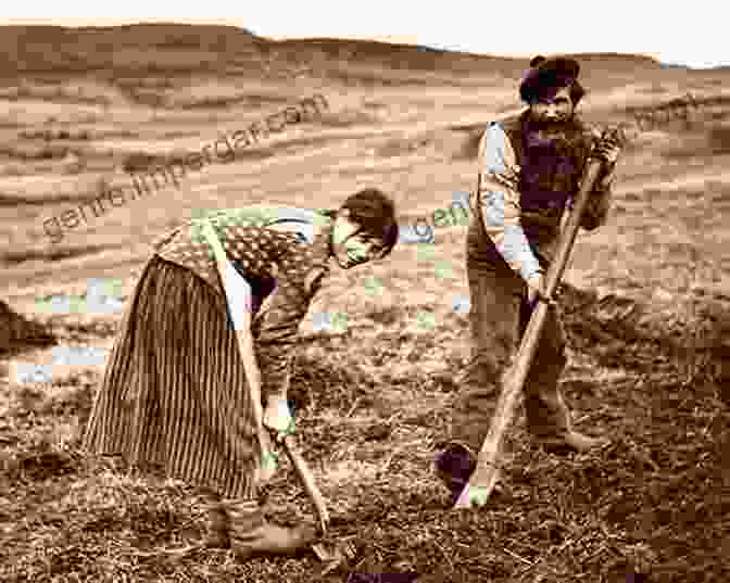 A Stunning Photograph Capturing The Essence Of Crofting Life In The Scottish Highlands, Showcasing The Rugged Landscape, Traditional Cottages, And Hardworking Crofters. Our Wild Farming Life: Adventures On A Scottish Highland Croft