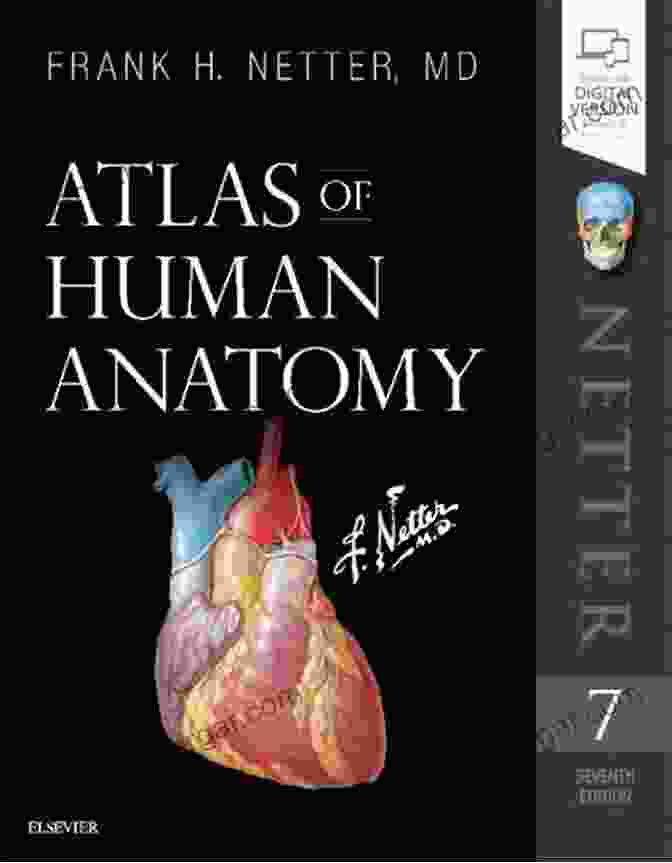 Atlas Of Human Anatomy 7th Edition Cover Atlas Of Human Anatomy 7th Edition