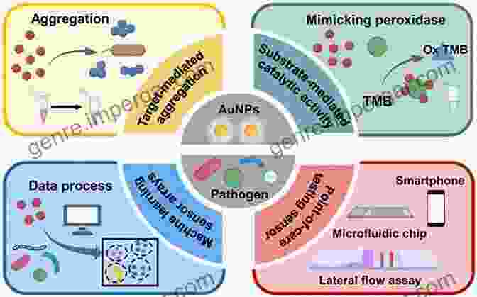 Biosensors For Pathogen Detection Biosensors For Security And Bioterrorism Applications (Advanced Sciences And Technologies For Security Applications)