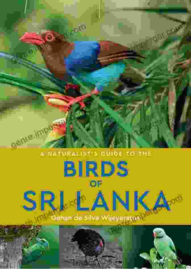 Birds Of Sri Lanka Photo Guide Book Cover Birds Of Sri Lanka (Pocket Photo Guides)