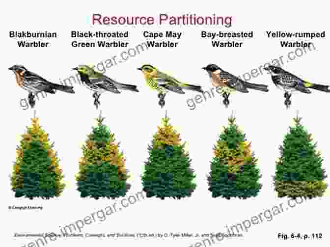 Diagram Illustrating The Concept Of Niche Partitioning, Showing How Different Species Exploit Different Resources To Co Exist Wytham Woods: Oxford S Ecological Laboratory