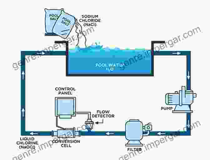 Diagram Showing Tips For Maintaining Salt Water Pools The Complete Guide To Salt Water Pools