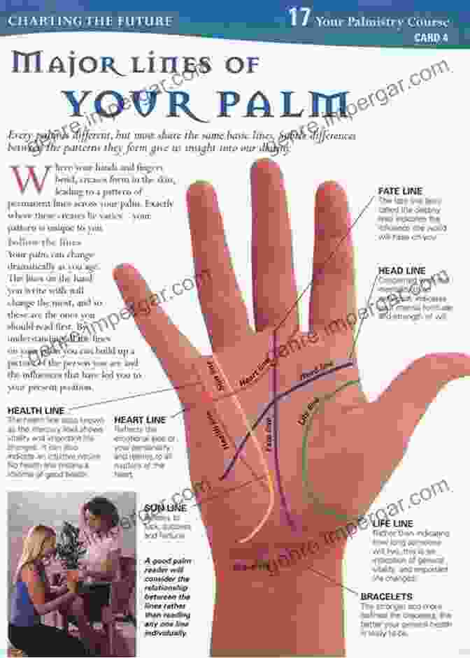 Intricate Lines Of The Palm The Divination Handbook: The Modern Seer S Guide To Using Tarot Crystals Palmistry And More