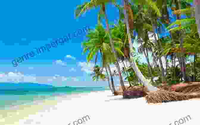 Koh Samui Beach With Palm Trees And Turquoise Waters Lonely Planet Thailand S Islands Beaches (Travel Guide)