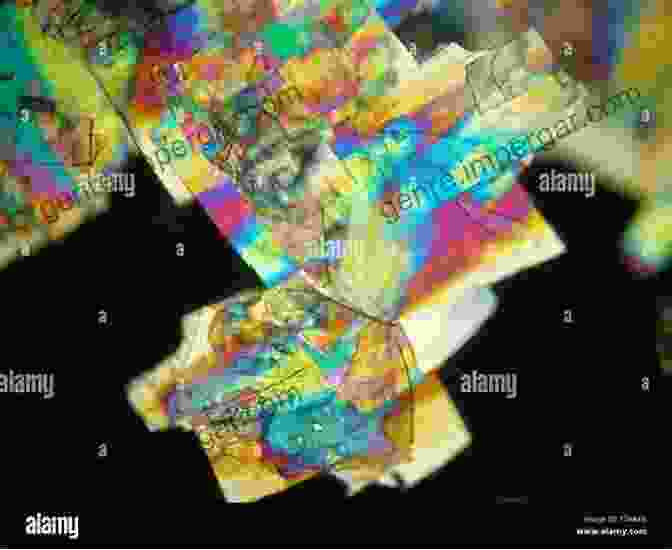 Polymer Liquid Crystals Displaying Iridescent Colors Under Polarized Light Polymer Liquid Crystals (Materials Science And Technology Series)