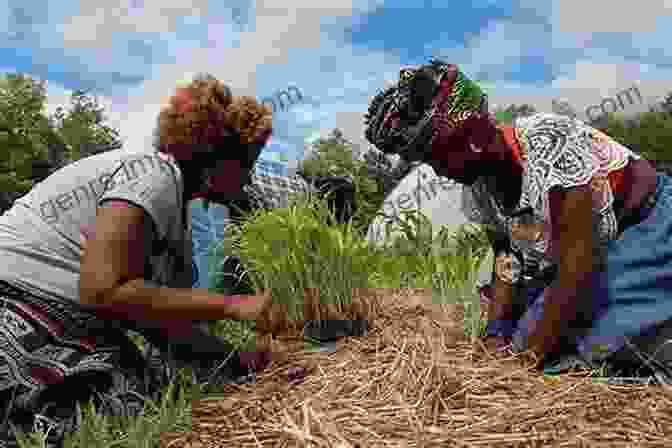 Regenerative Farming Empowers Farmers And Nourishes Local Communities. Ploughing A New Furrow: A Blueprint For Wildlife Friendly Farming