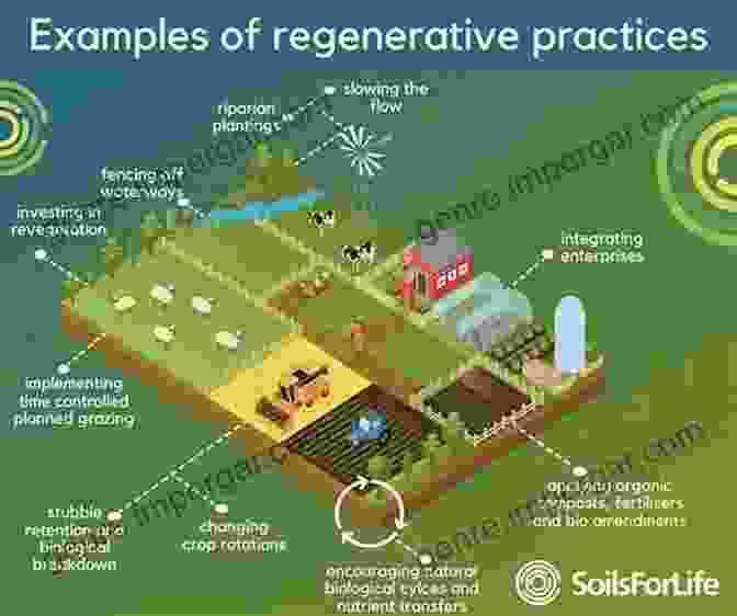 Regenerative Farming Practices, Such As Cover Cropping, Promote Soil Health And Biodiversity. Ploughing A New Furrow: A Blueprint For Wildlife Friendly Farming