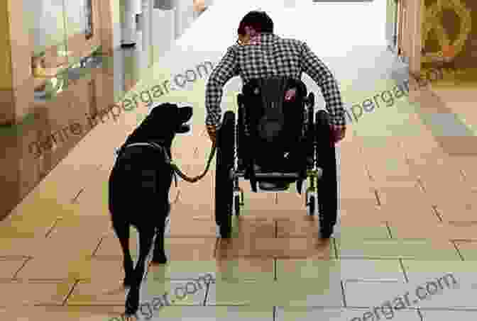 Service Dog Helping A Person In A Wheelchair Animals At Work: ASPCA Kids