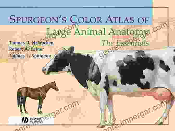 Spurgeon Color Atlas Of Large Animal Anatomy Spurgeon S Color Atlas Of Large Animal Anatomy: The Essentials