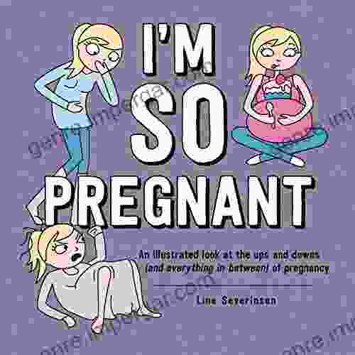 I m So Pregnant: An illustrated look at the ups and downs (and everything in between) of pregnancy