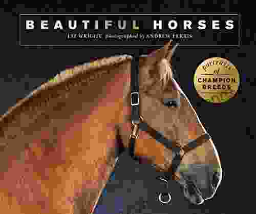 Beautiful Horses: Portraits Of Champion Breeds (Beautiful Animals)