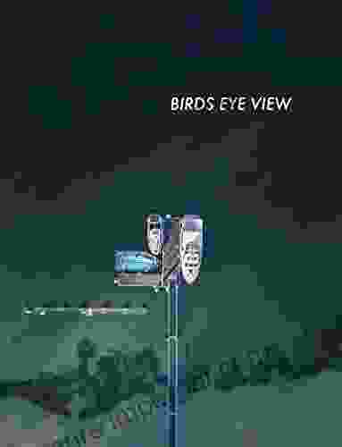 BIRD S EYE VIEW: A Bird S Eye View Is An Elevated View Of An Object From Above With A Perspective As Though The Observer Were A Bird (WE LIVE IN A BEAUTIFUL WORLD )