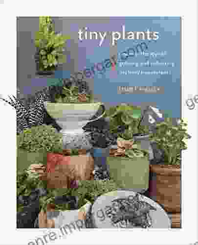 Tiny Plants: Discover The Joys Of Growing And Collecting Itty Bitty Houseplants