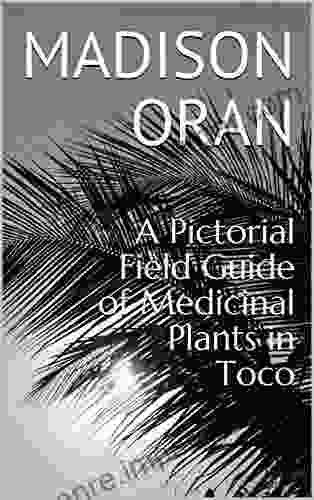 A Pictorial Field Guide Of Medicinal Plants In Toco