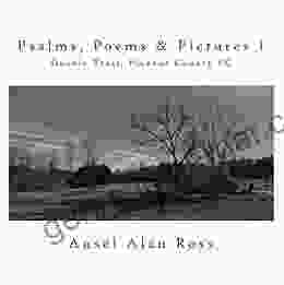 Psalms Poems Pictures I: Doodle Trail Pickens County SC