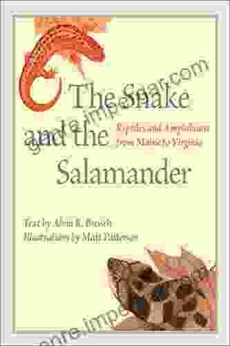 The Snake And The Salamander: Reptiles And Amphibians From Maine To Virginia