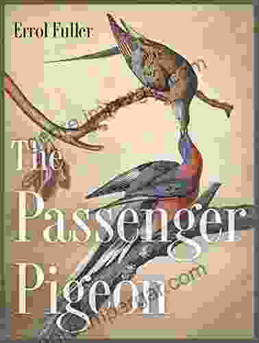 The Passenger Pigeon