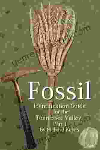 Fossil Identification Guide For The Tennessee Valley Part 1