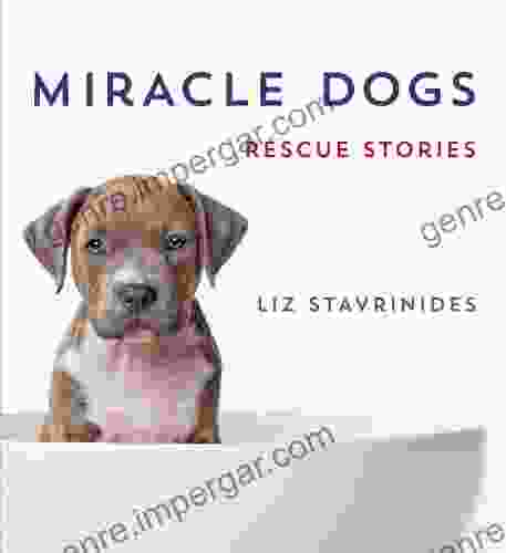 Miracle Dogs: Rescue Stories Liz Stavrinides