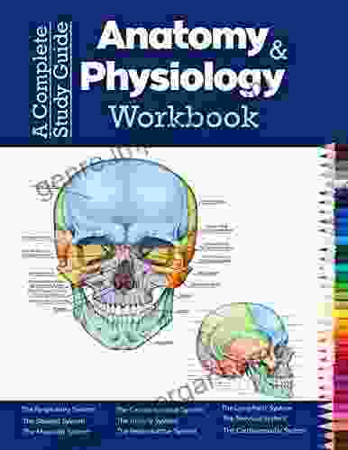 A Complete Study Guide Anatomy And Physiology Workbook: Incredibly Detailed Self Test Color Workbook For Studying And Relaxation Perfect Gift For Medical School Students Nurses Doctors And Adults