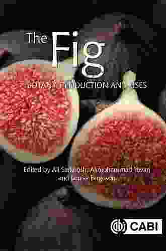 The Fig: Botany Production And Uses