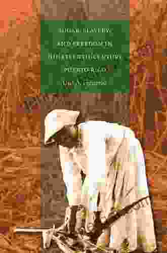 Sugar Slavery And Freedom In Nineteenth Century Puerto Rico