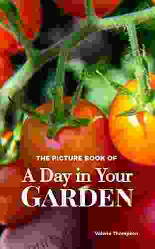 The Picture Of A Day In Your Garden: Activity For Seniors With Dementia Alzheimer S Impaired Memory Aging Caregivers (Discreet Picture Book)