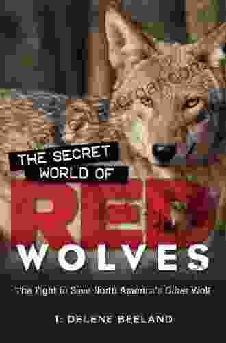 The Secret World Of Red Wolves: The Fight To Save North America S Other Wolf