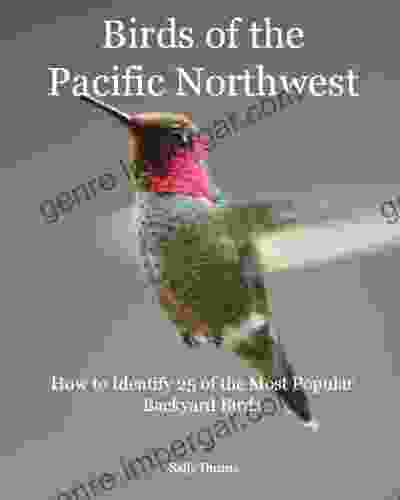 Birds Of The Pacific Northwest: How To Identify 25 Of The Most Popular Backyard Birds