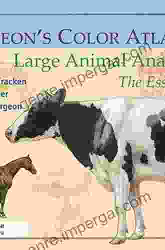 Spurgeon s Color Atlas of Large Animal Anatomy: The Essentials