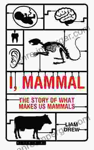 I Mammal: The Story Of What Makes Us Mammals (Bloombury Sigma)