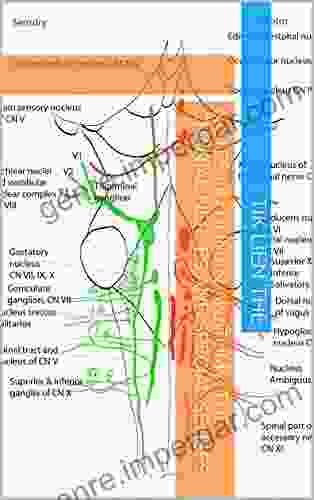 NOTES ON HUMAN ANATOMY: The Cranial Nerves and Special Senses