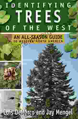 Identifying Trees Of The West: An All Season Guide To Western North America