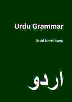 Urdu Grammar (Grammar 2 0: World Languages)