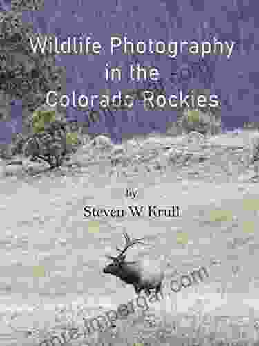 Wildlife Photography In The Colorado Rockies: Where And How To Find And Photograph Wildlife